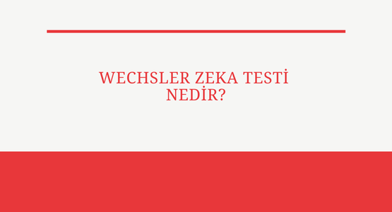 wechler zeka testi nedir