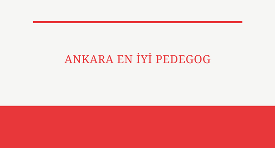 ankara en iyi pedegog