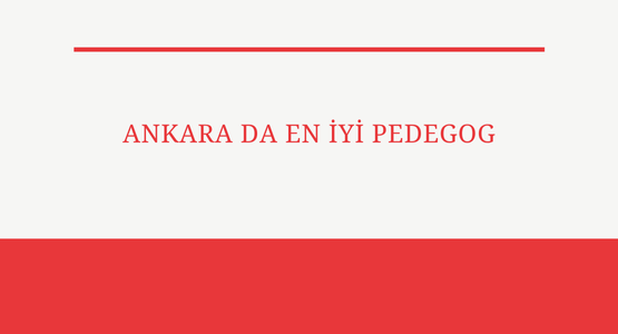 ankara da en iyi pedegog