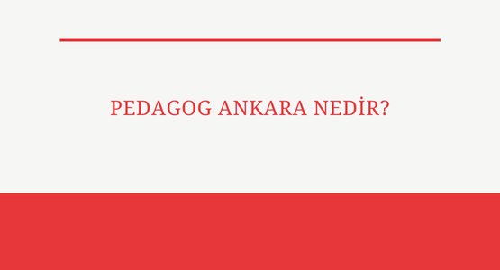 pedegog ankara nedir