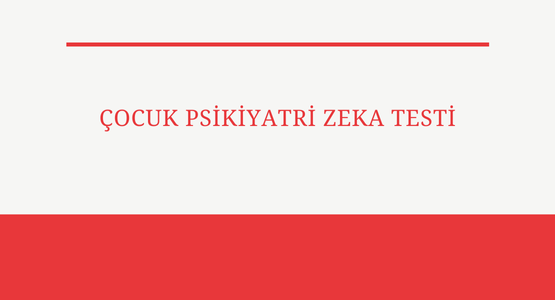 cocuk psikiyatri zeka testi