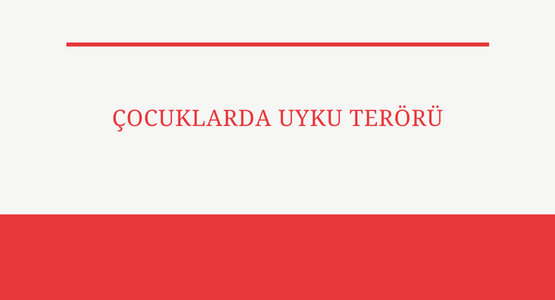cocuklarda uyku teroru
