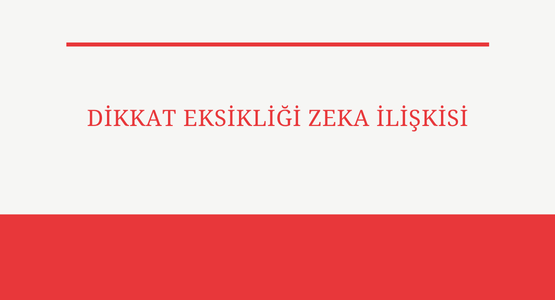 dikkat eksikliği zeka iliskisi