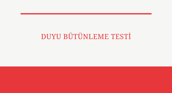 duyu butunleme testi