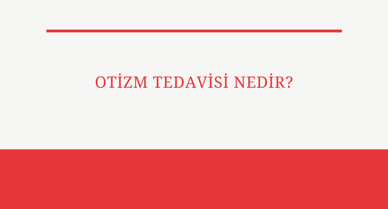 otizm tedavisi nedir