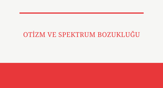 otizm ve spektrum bozuklugu
