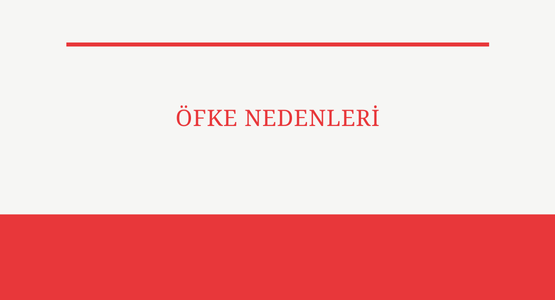 ofke nedenleri