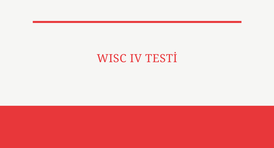 wisc iv testi