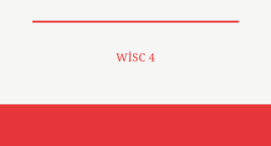 wisc 4