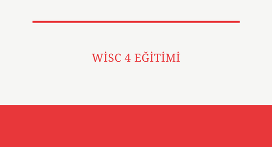 wisc 4 egitimi
