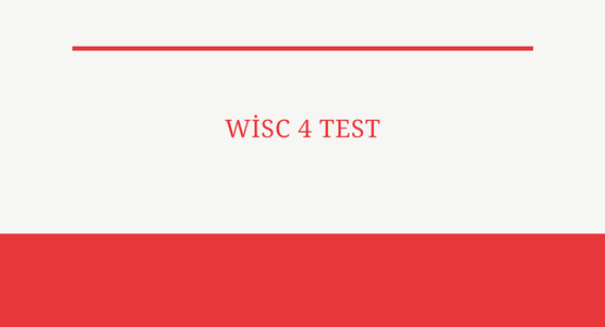 wisc 4 test