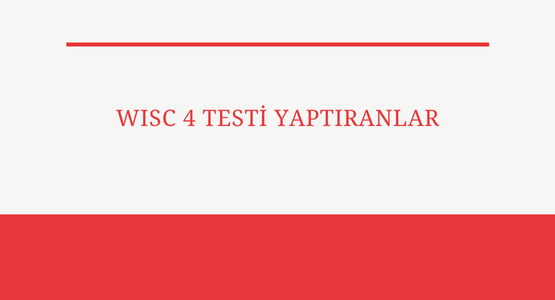 wisc 4 testi yaptiranlar