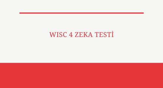 wisc 4 zeka testi