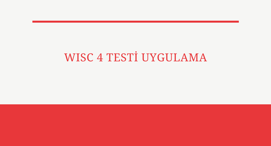 wisc testi uygulama  