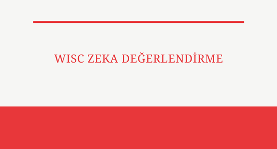 wisc zeka degerlendirme