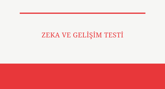 zeka ve gelisim testi