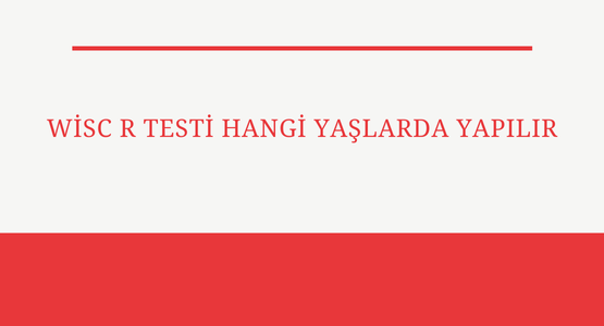 wisc r testi hangi yaslarda yapilir
