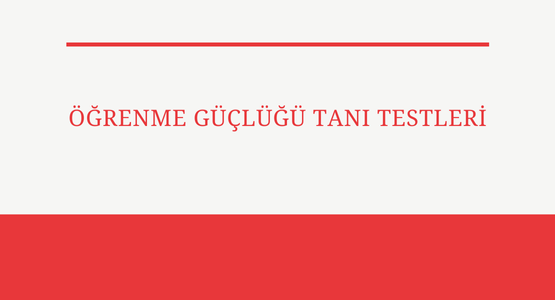 ogrenme guclugu tani testleri