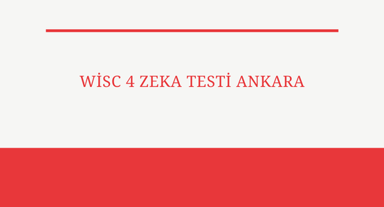 wisc 4 zeka testi ankara