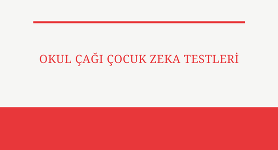 okul cagi cocuk zeka testleri