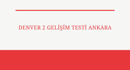 denver 2 gelisim testi ankara