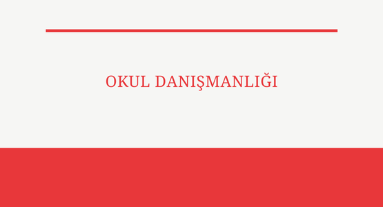 okul danismanligi nedir