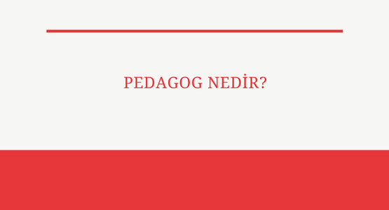 pedagog nedir
