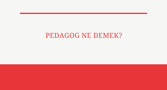 pedagog ne demek