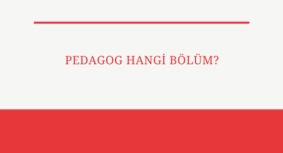 pedagog hangi bolum