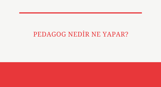 pedagog nedir ne yapar