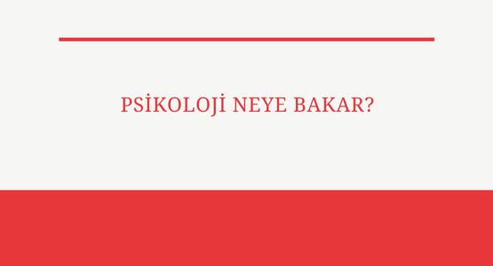 psikoloji neye bakar