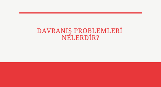 davranis problemleri nelerdir