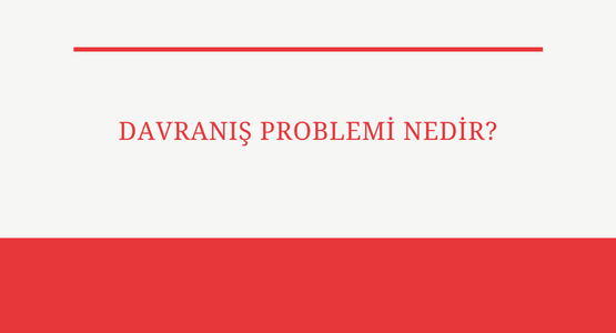 davranis problemi nedir