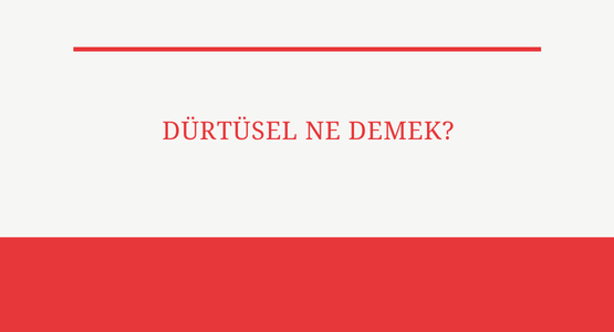 durtusel ne demek