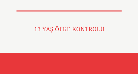 13 yas ofke kontrolu
