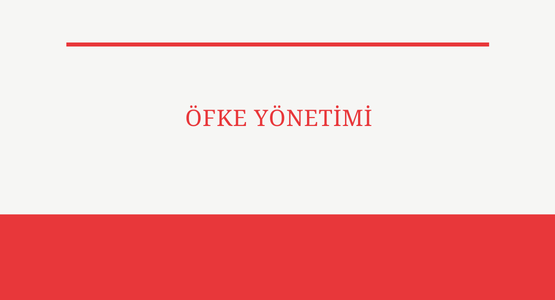 ofke yonetimi