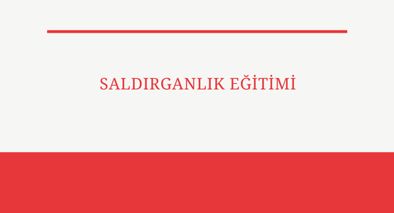 saldirganlik egitimi