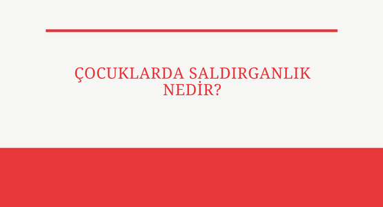 cocuklarda saldirganlik nedir