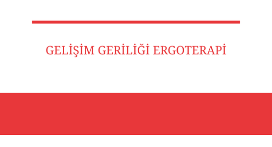 gelisim geriligi ergoterapi