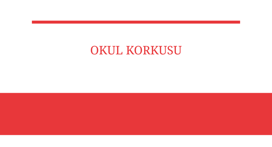 okul korkusu