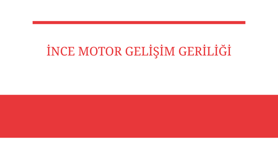 ince motor gelisim geriligi