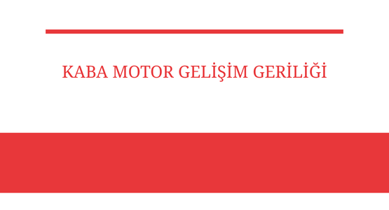 kaba motor gelisim geriligi
