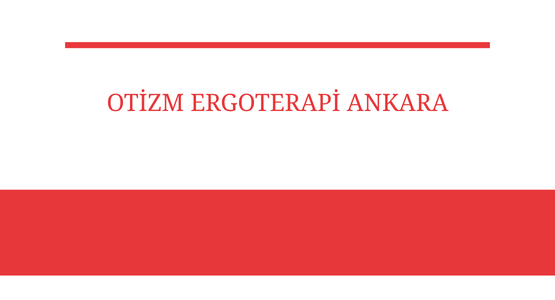 otizm ergoterapi ankara