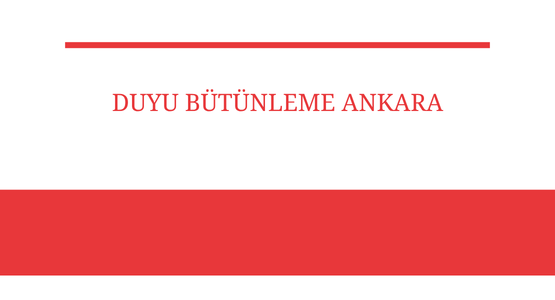 duyu butunleme ankara