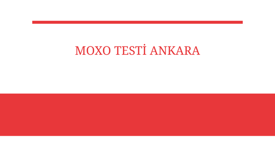 moxo testi ankara