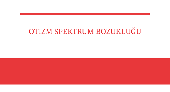 otizm spektrum bozuklugu