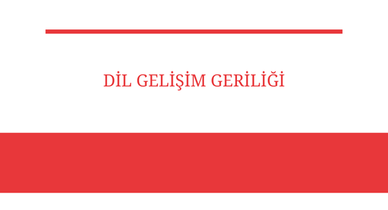 dil gelisim geriligi