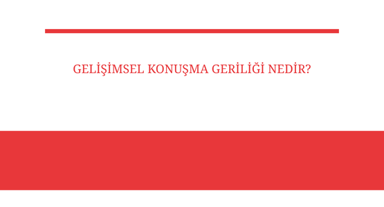 gelisimsel konusma geriligi nedir