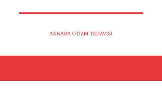 ankara otizm tedavisi