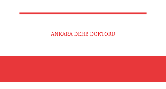ankara dehb doktoru